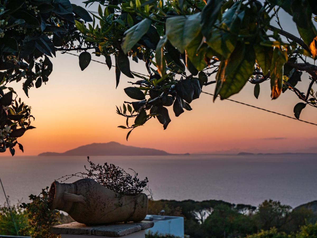 Casa Astra Acomodação com café da manhã Anacapri  Exterior foto