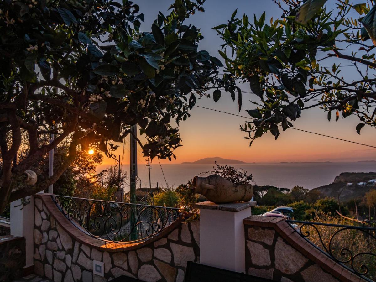 Casa Astra Acomodação com café da manhã Anacapri  Exterior foto